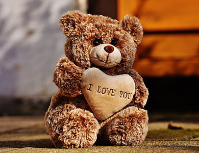 brown bear plush toy thumbnail