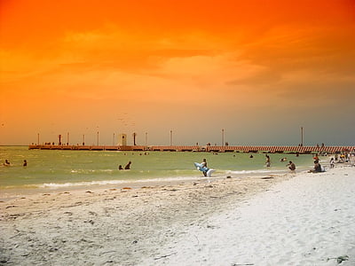 people near beach during daytime thumbnail