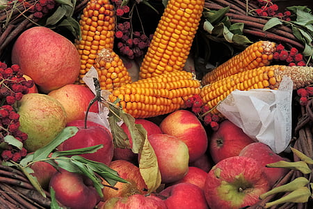 red apple fruits thumbnail