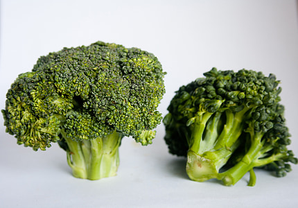 two broccolis thumbnail
