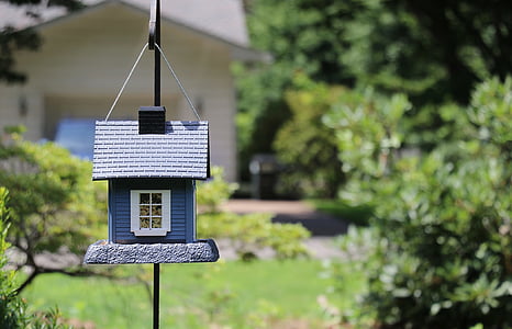 selective focus photography of miniature house thumbnail