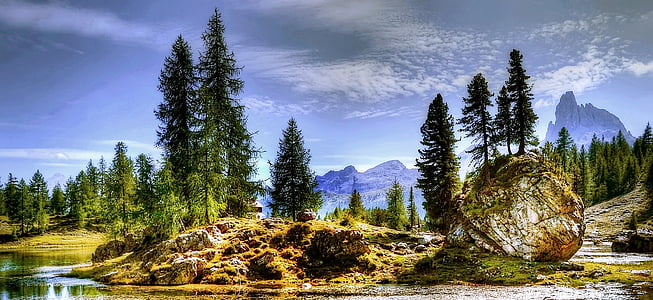 trees beside river thumbnail