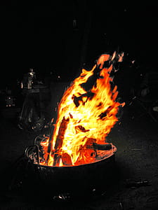 Selective Color Photography of Bonfire thumbnail