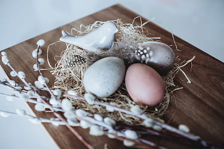 three assorted-color decorative eggs wall decor thumbnail