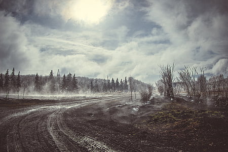 tree covered mountain under white sky at daytime thumbnail
