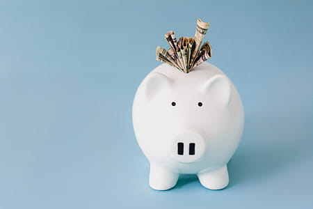 Piggy Bank Savings Photo thumbnail
