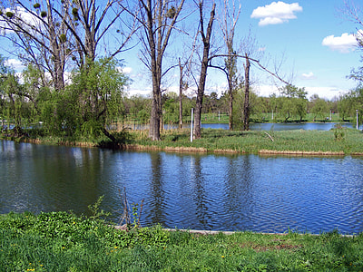 body of water beside green grass under blue sky thumbnail
