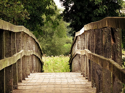wooden bridge towards greed forest thumbnail