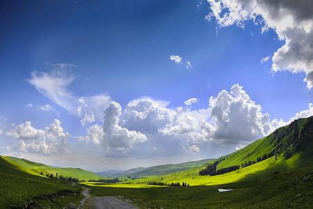 road on valley thumbnail