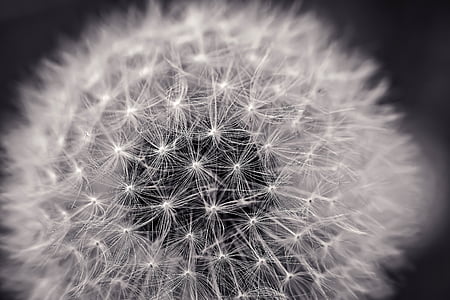 white wallpaper thumbnail