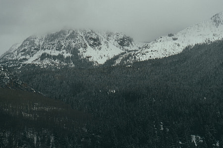 snow mountain and forest thumbnail