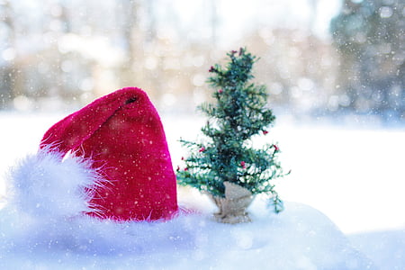 red and white Christmas hat beside green Christmas tree miniature thumbnail