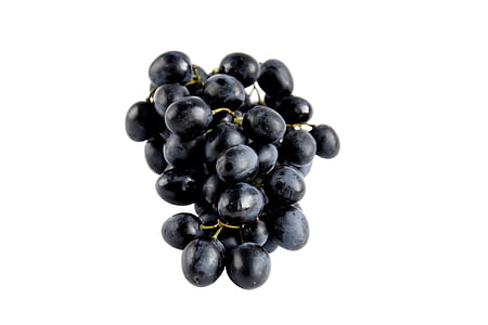 grapes illustration thumbnail