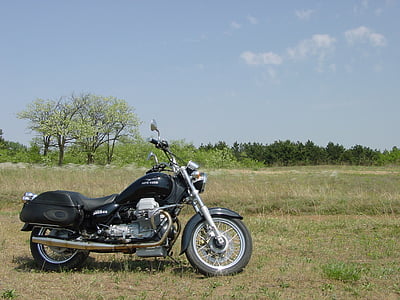 black and gray cruiser bike parked on green grass at daytime thumbnail