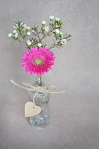 pink Gerbera daisy flower and white erica flowers in clear glass bottle centerpiece thumbnail