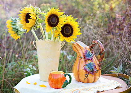 sunflowers with white pot thumbnail