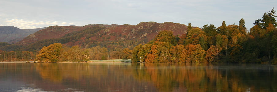 panoramic photo of tree and lake during daytime thumbnail