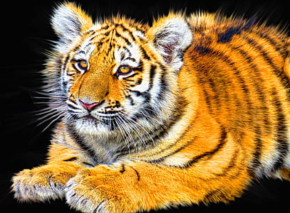 tiger painting thumbnail