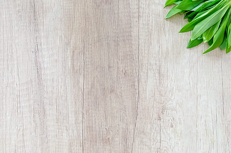 green leaf plant on brown wooden surface thumbnail