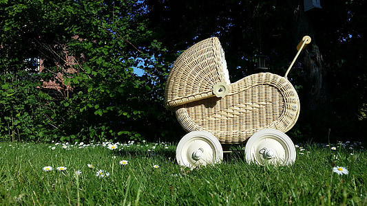 gray woven bassinet on green grass field at daytime thumbnail