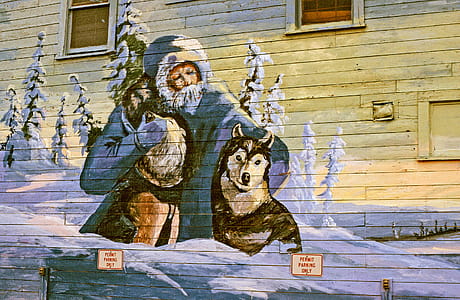 Mural painting of an old man with two Sled dogs on the wall thumbnail