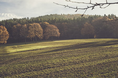 landscape, nature, space, field thumbnail