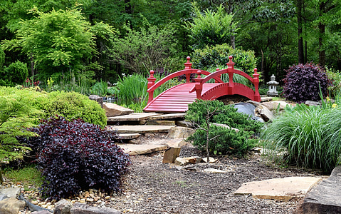 red wooden ladder surrounded by plants thumbnail