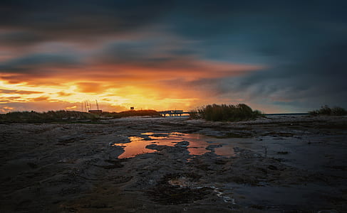 landscape photography of marsh land thumbnail