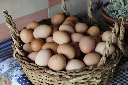 chicken eggs on basket thumbnail