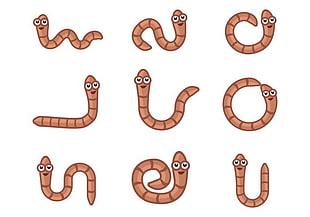 segmented-worms-cartoon