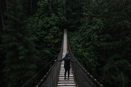person on hanging bridge thumbnail