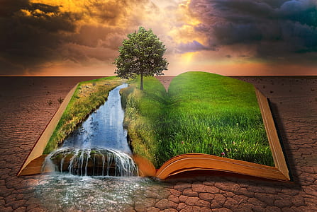open book showing grass field thumbnail