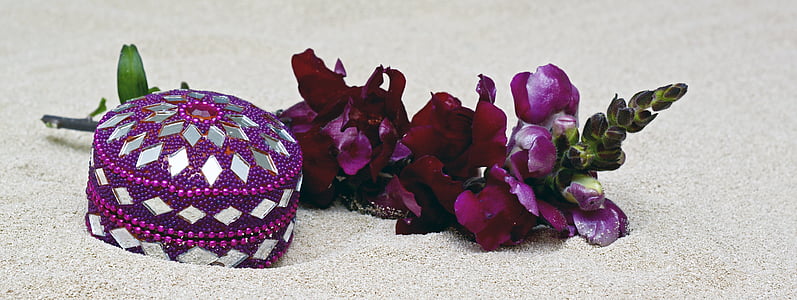 purple flower beside round purple case thumbnail