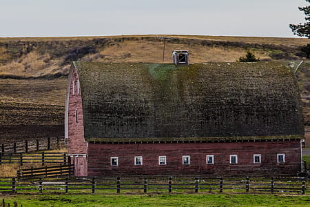 red and brown wooden barn thumbnail