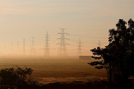 gray electrical post surrounded by fogs during dawn near tress thumbnail