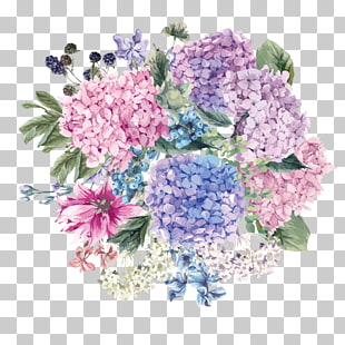 Hydrangea petiolaris Wedding invitation Flower Blossom, Hand-painted watercolor flower, purple, pink, and orange floral painting PNG clipart