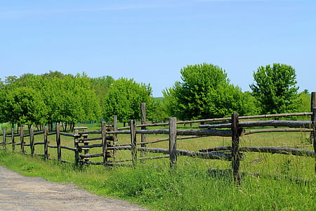 brown wooden fence thumbnail