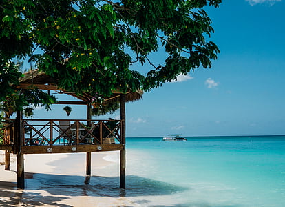 brown gazebo beside sea during daytime thumbnail