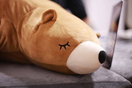 brown bear plush toy on gray suede textile thumbnail
