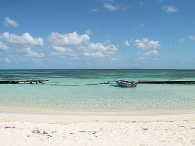 blue canoe docked on shore at daytime thumbnail