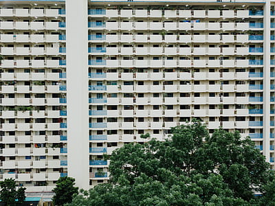 white building near tree during daytime thumbnail