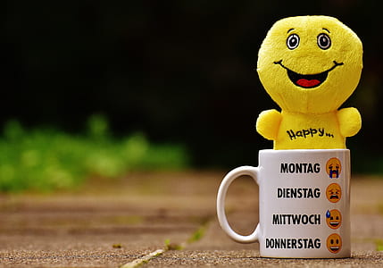 White Ceramic Mug With Yellow Plush Toy on It thumbnail