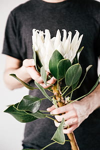Man Holding White Petaled Flower on Bloom thumbnail