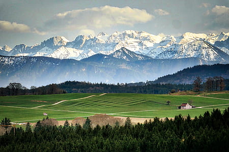 green field with snow-capped mountain at distnace thumbnail