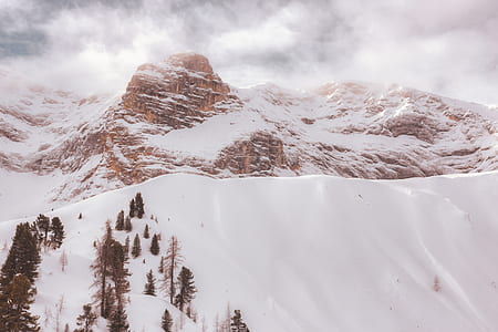 snowy mountain with trees under cloudy sky during daytime thumbnail