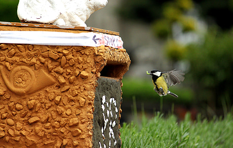yellow and black bird flying beside orange concrete stand thumbnail
