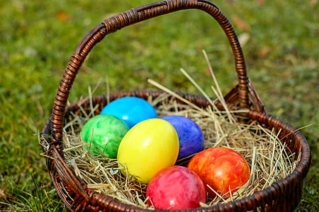 assorted-color Easter eggs in brown wicker basket on green grass thumbnail