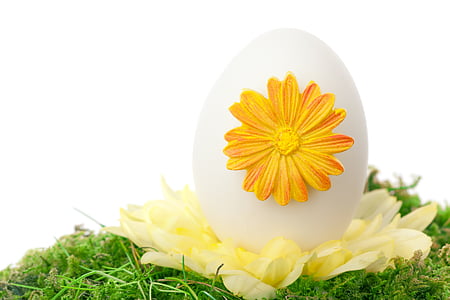 Easter egg on grass thumbnail