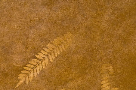 beige leaf thumbnail