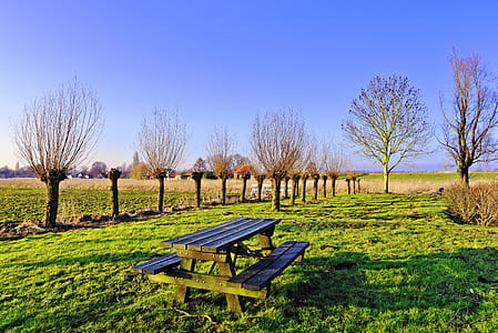 brown wooden picnic table placed in grass ground surrounded by bare trees thumbnail